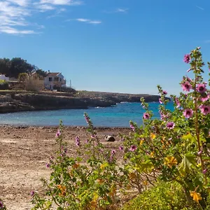 https://arbocers.balearic-islands.net